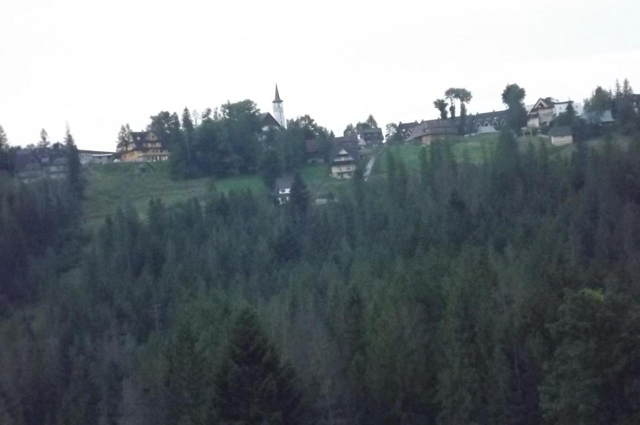 Prymulka Hotel Zakopane Eksteriør billede